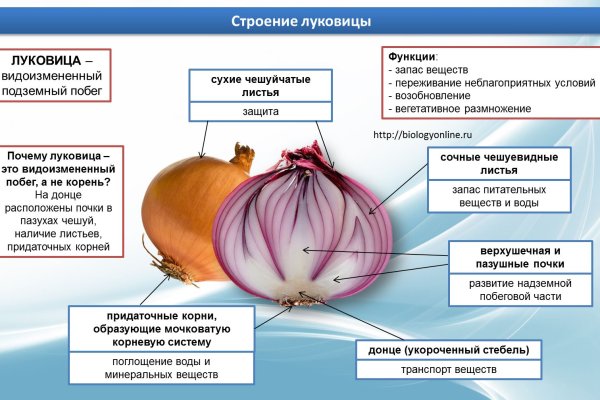 Мега или кракен