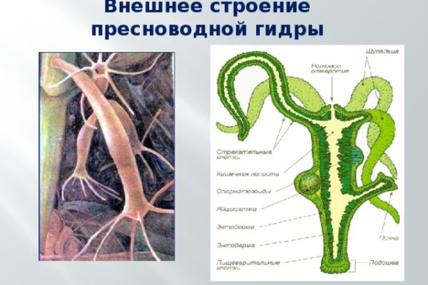 Вывести деньги с кракена