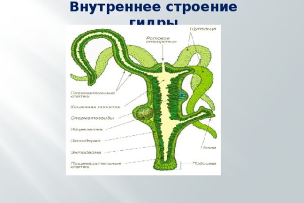 Актуальный домен кракена
